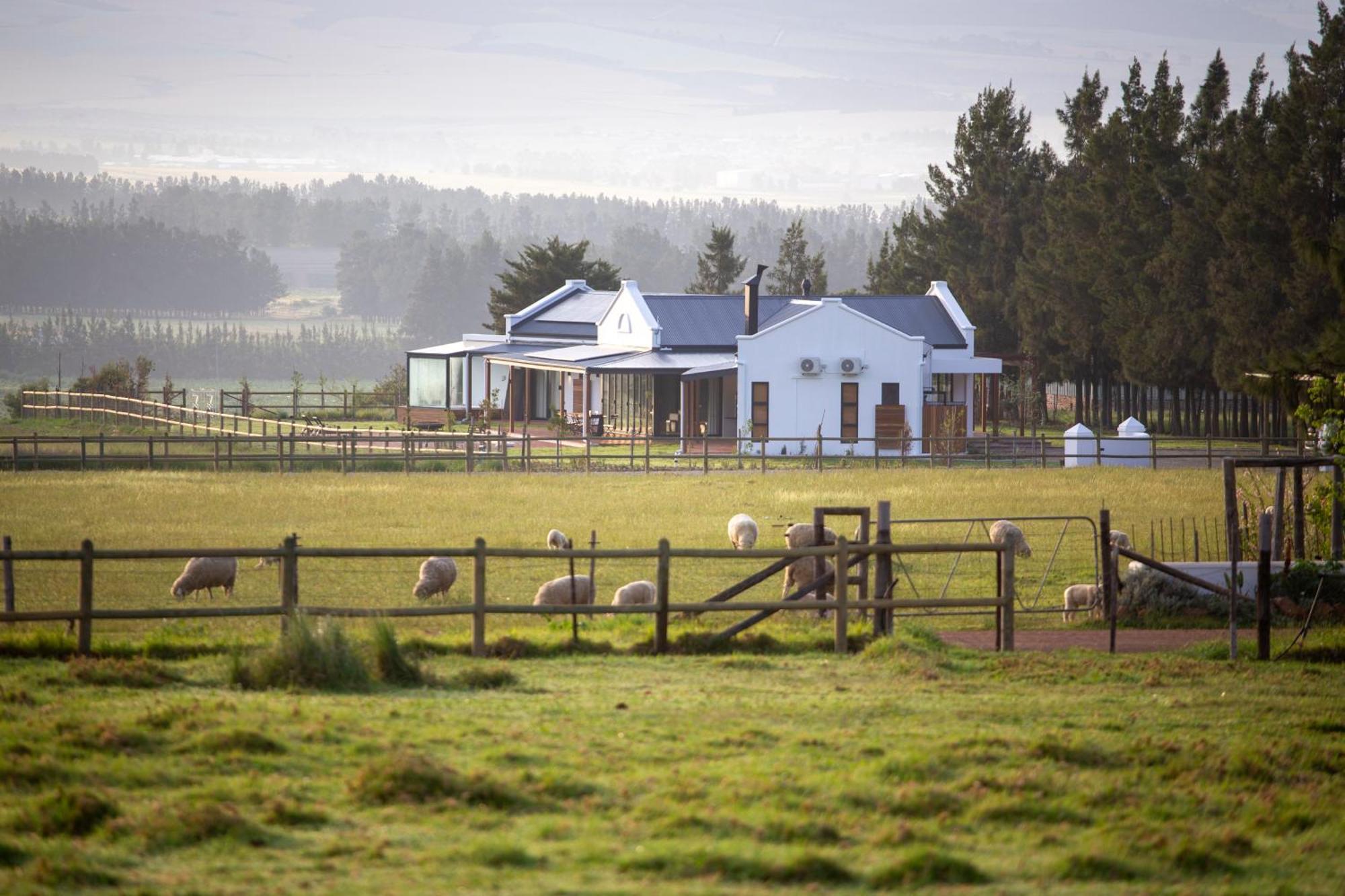 Raptor Rise Tulbagh Dış mekan fotoğraf